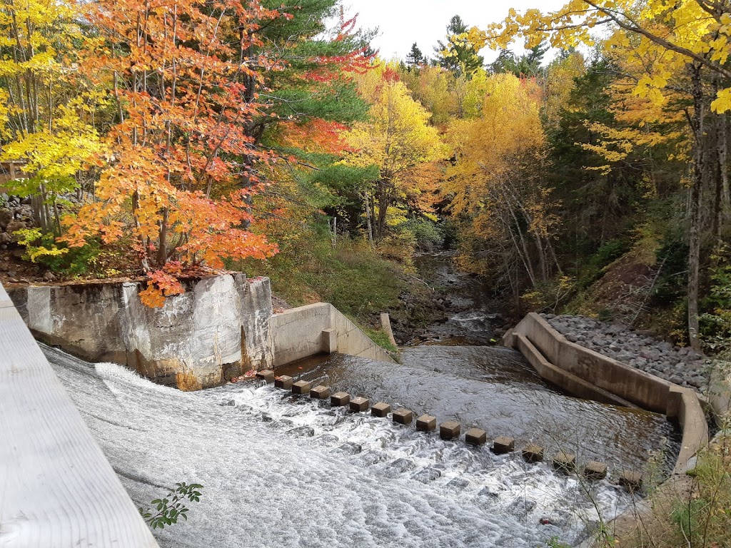 Irishtown Nature Park | 1155 Elmwood Dr, Moncton, NB E1H 2H7, Canada | Phone: (506) 853-3516