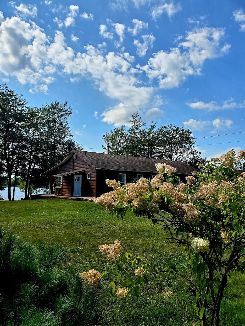 DragonFly Inspections and Aerial Photography | 24 Leverett Ave, Kentville, NS B4N 2K6, Canada | Phone: (902) 599-3414