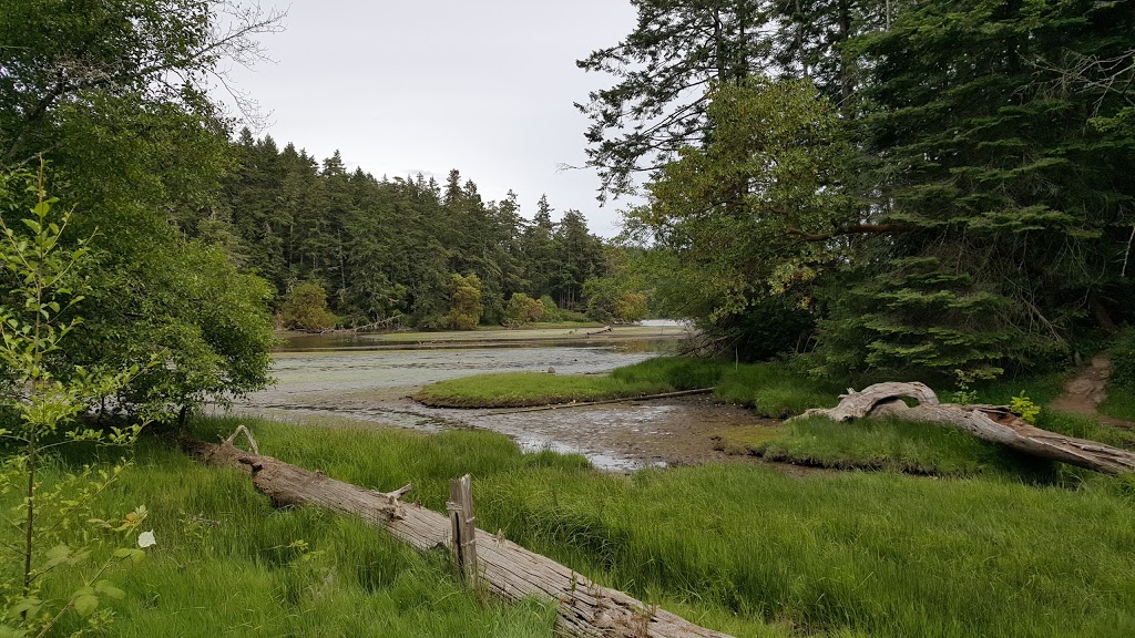 Wittys Lagoon Regional Park Nature House | 4115 Metchosin Rd, Victoria, BC V9C 3Z6, Canada | Phone: (250) 474-2454