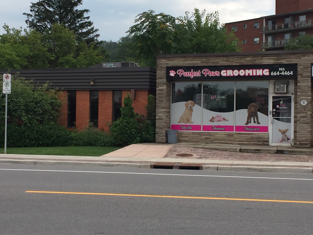 Purrfect Paws Grooming | 70 King St E, Stoney Creek, ON L8G 1J9, Canada | Phone: (905) 664-4464