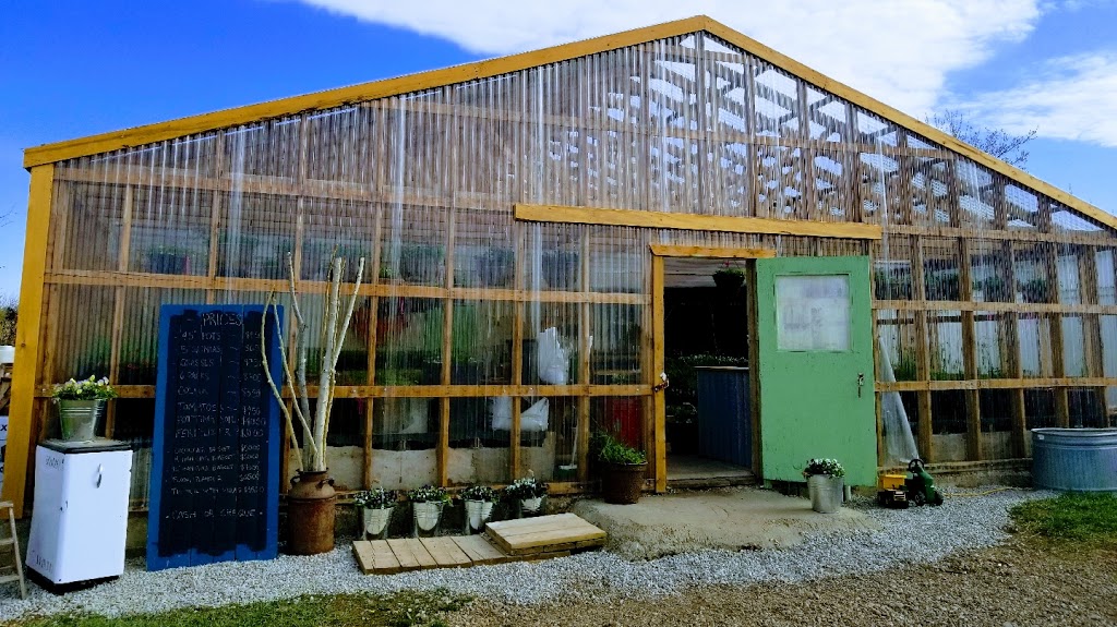 Swalwell Greenhouse | Township Rd 302, Kneehill County, AB T0M 1J0, Canada | Phone: (403) 370-5737