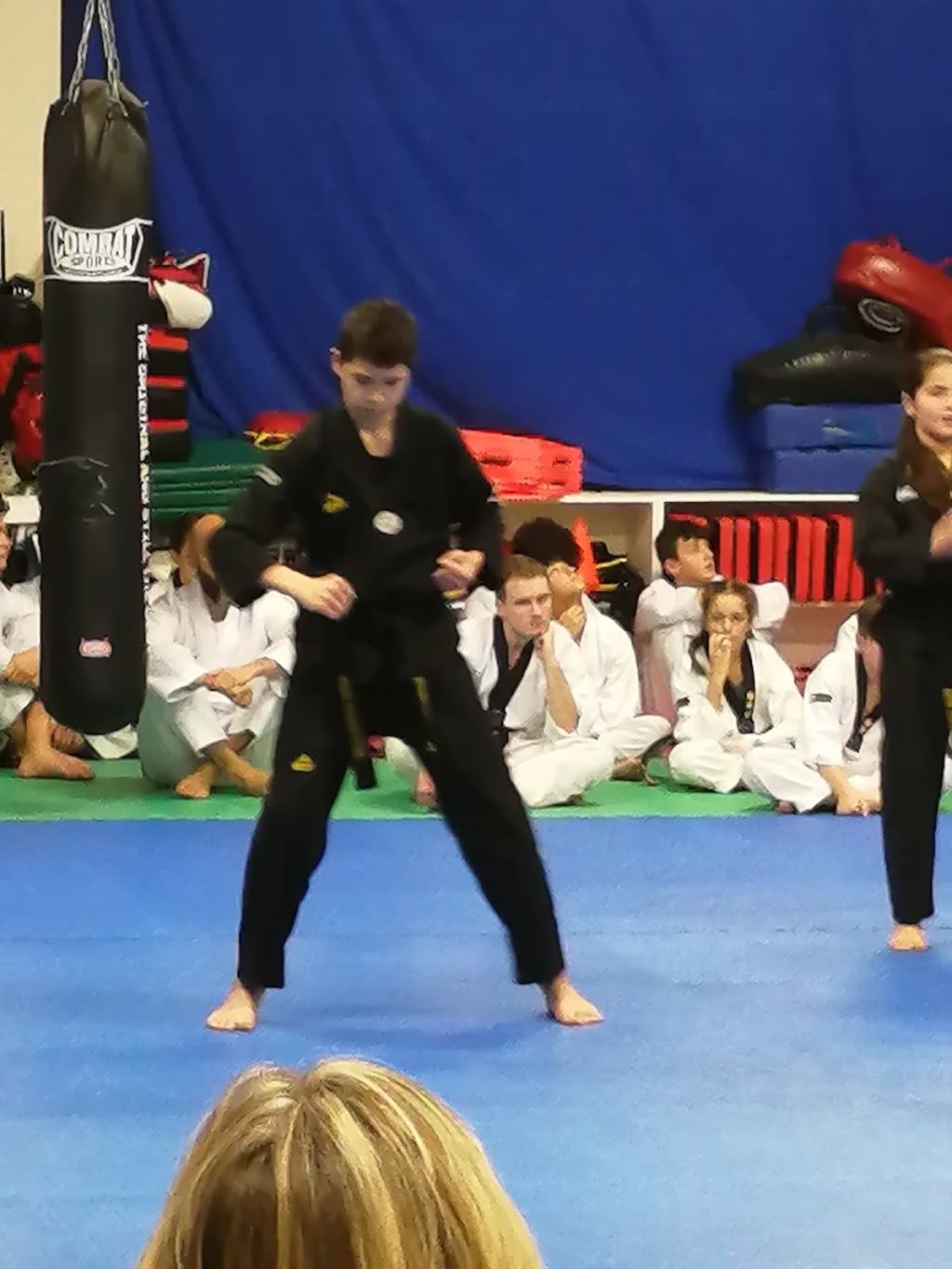 Masters Taekwondo Academy | 25 Amy Croft Dr Unit #35, Windsor, ON N9K 1C7, Canada | Phone: (519) 979-8288