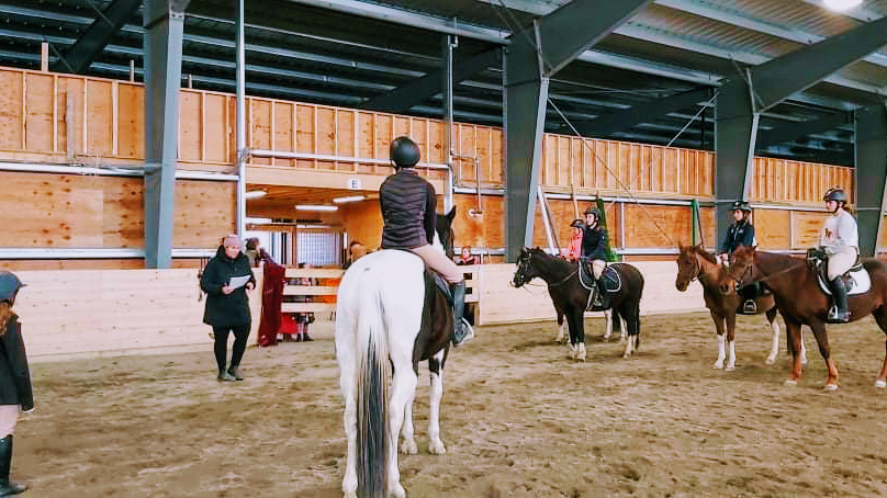 Thorbrooke Equestrian | 22233 4 Ave, Langley Twp, BC V2Z 1R9, Canada | Phone: (604) 308-2036