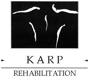 Karp Rehabilitation | 1615 E 1st Ave, Vancouver, BC V5N 1A3, Canada | Phone: (604) 420-7800