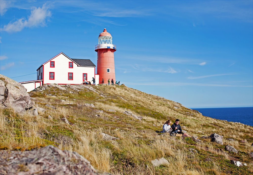 Lighthouse Picnics | 1 Lighthouse Rd, Ferryland, NL A0A 2H0, Canada | Phone: (709) 363-7456