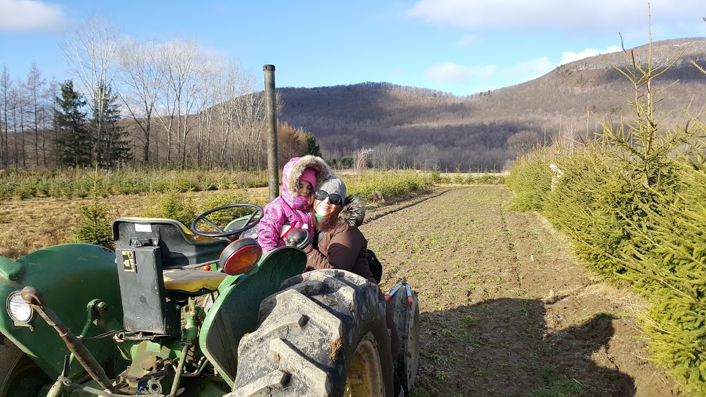 Pépinière Luc B Auclair | 2480 Rang de la Rivière N, Saint-Jean-Baptiste, QC J0L 2B0, Canada | Phone: (450) 464-0330