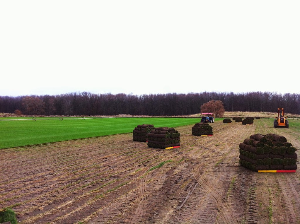 Smilsky Sod Farms Ltd. | 5628 5th Line, Tottenham, ON L0G 1W0, Canada | Phone: (705) 440-8577