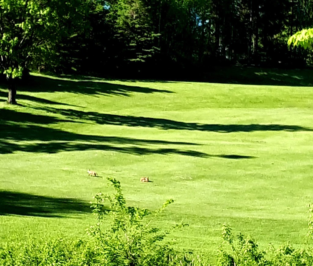 Golf De LAuberiviere | 777 Rue de Lauberivière, Lévis, QC G6W 0S4, Canada | Phone: (418) 835-0480