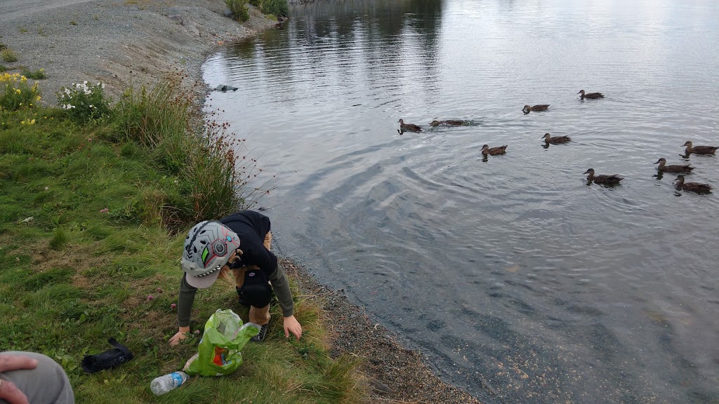 Mountain View RV Park | 27 Brook Ave, Clarkes Beach, NL A0A 1W0, Canada | Phone: (709) 786-3485