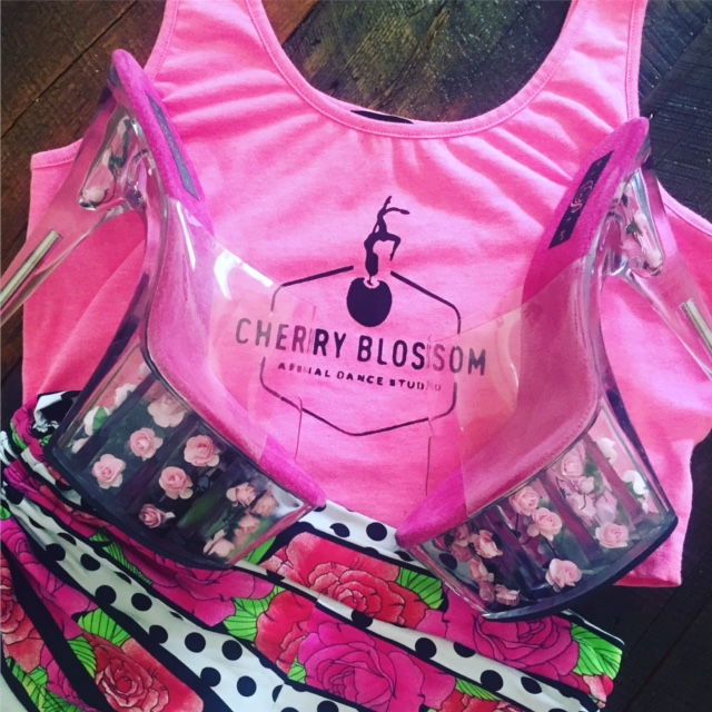 Cherry Blossom Aerial Dance Studio | 427 St Laurent Blvd, Ottawa, ON K1K 2Z9, Canada | Phone: (613) 741-4200