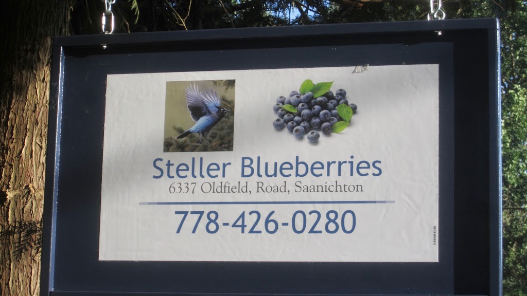 Steller Blueberries | 6337 Oldfield Rd, Saanichton, BC V8M 1X8, Canada | Phone: (778) 426-0280