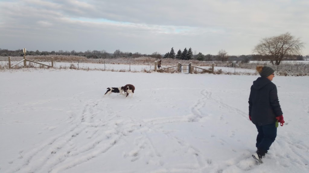 North Whitby Off-Leash Dog Park | 5001-, 5617 Cochrane St, Whitby, ON L1P 2A3, Canada