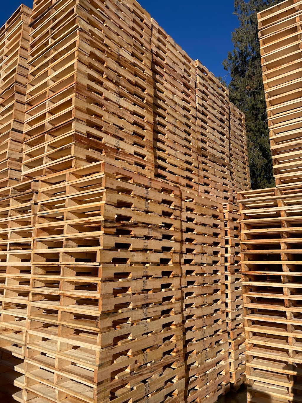 M&M Quality Pallet Ltd | 4425 No. 3 Rd, Chilliwack, BC V2R 5E8, Canada | Phone: (778) 636-3992