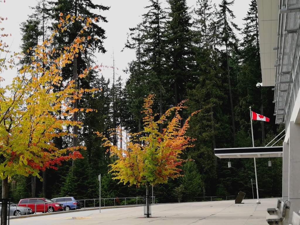 North Shore Community Park | 1300 David Ave, Port Moody, BC V3H 5K6, Canada | Phone: (604) 469-4500