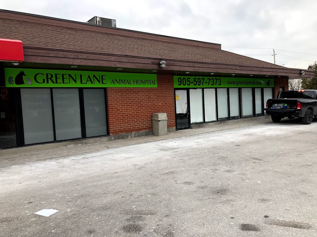 Green Lane Animal Hospital | 392 John St, Thornhill, ON L3T 5W6, Canada | Phone: (905) 597-7373