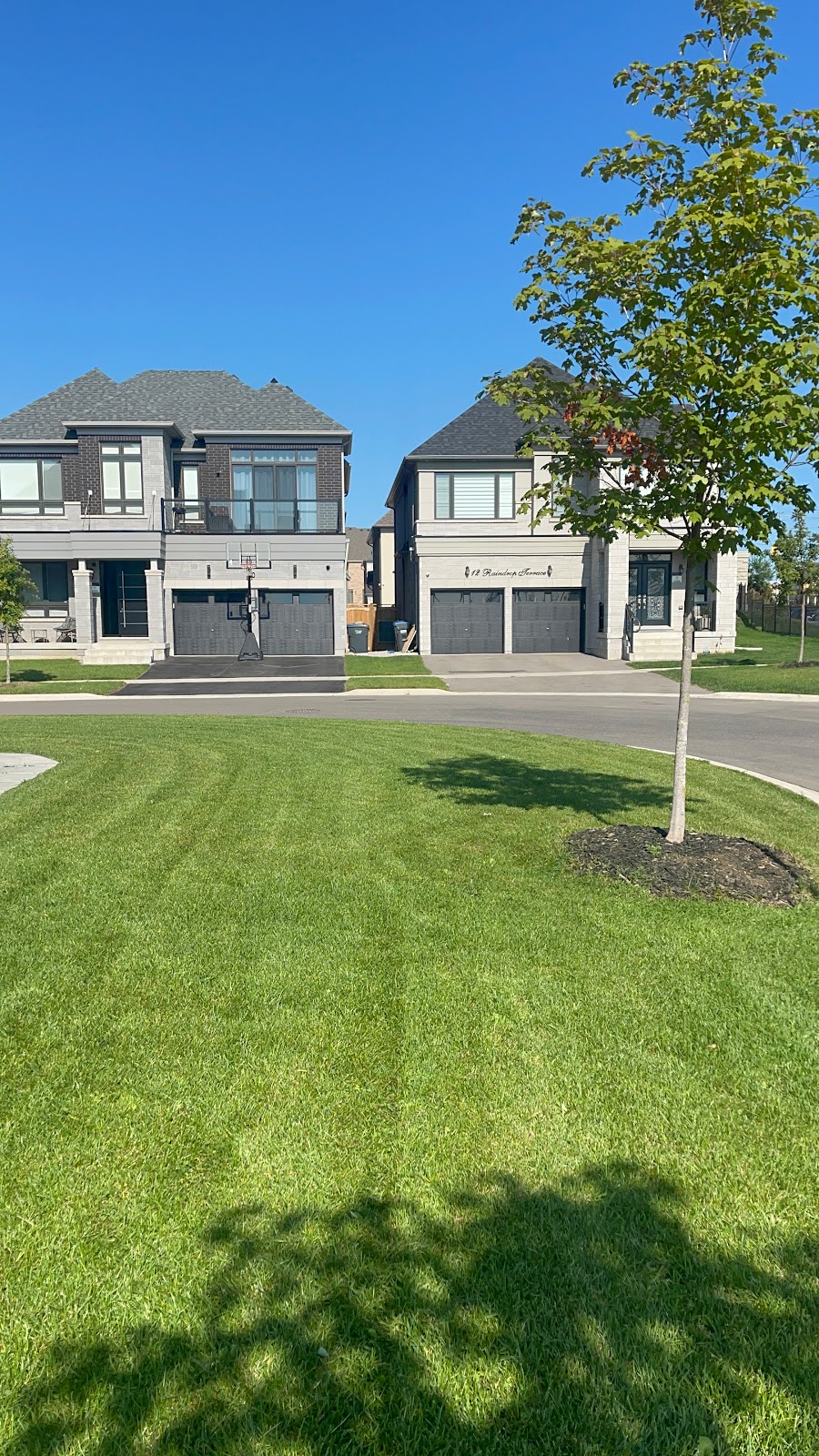 Absolute Lawn | 485 Meadows Blvd, Mississauga, ON L4Z 1H1, Canada | Phone: (647) 901-5102