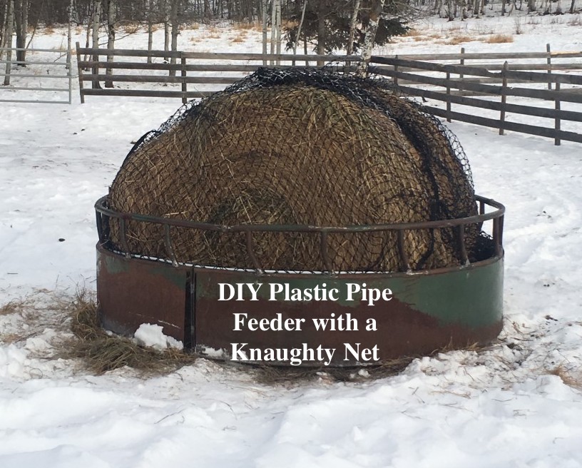 Knaughty Nets & Pets | RR 1 Site 12 Comp 16 241009, Hwy 814, Millet, AB T0C 1Z0, Canada | Phone: (780) 235-8844
