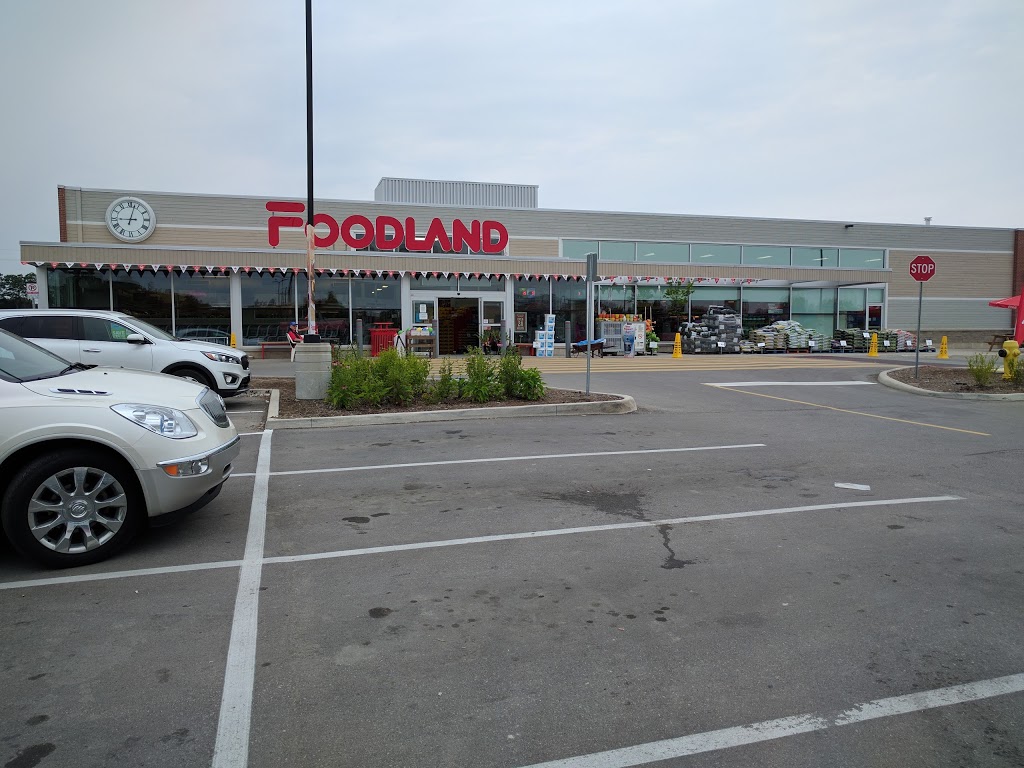 Foodland - Thornbury | 105 Arthur St W, Thornbury, ON N0H 2P0, Canada | Phone: (519) 599-3000