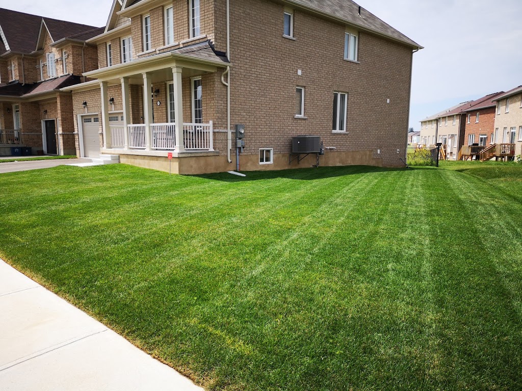 Brantford Lawn Care | 7 Ventnor Ct, Brantford, ON N3R 6L8, Canada | Phone: (519) 774-0765