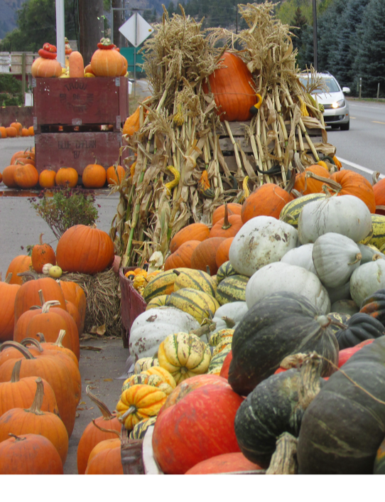 Sanderson Farms Market | British Columbia 3, Keremeos, BC V0X 1N1, Canada | Phone: (250) 499-2215