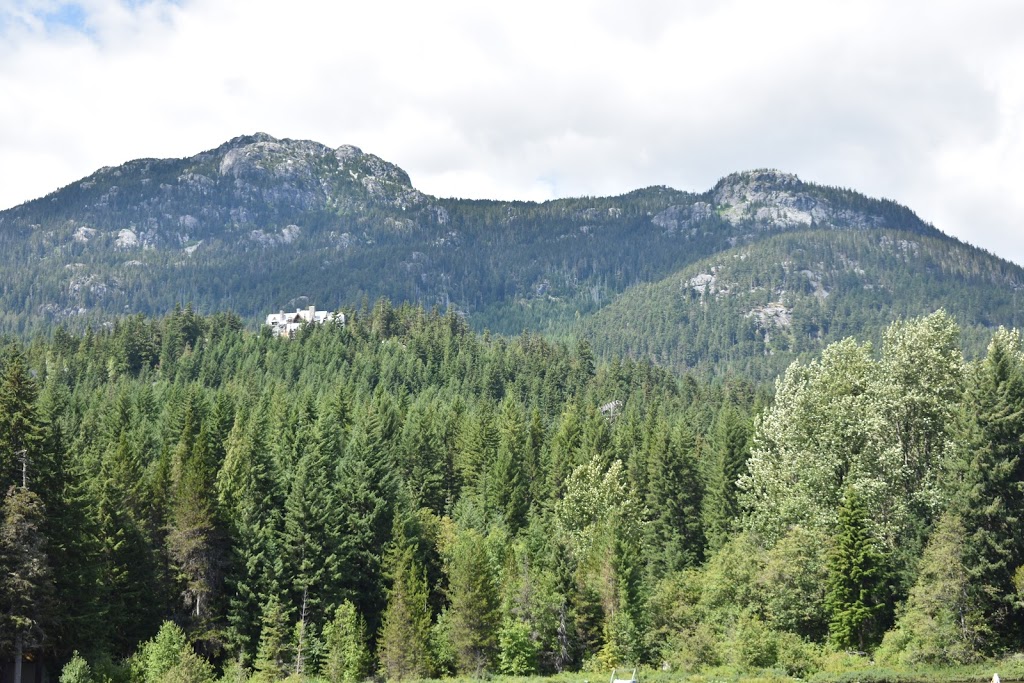 Whistler Eco Tours Wayside Park, Alta Lake | 20701 BC-99, Whistler, BC V0N 1B2, Canada | Phone: (604) 935-4900