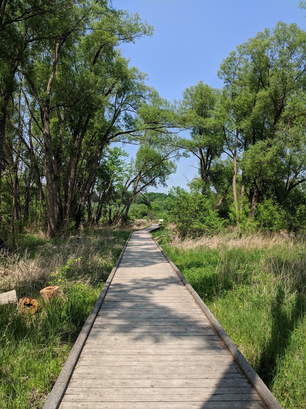 Halton Hills Trail | Georgetown, Halton Hills, ON L7G 5K2, Canada