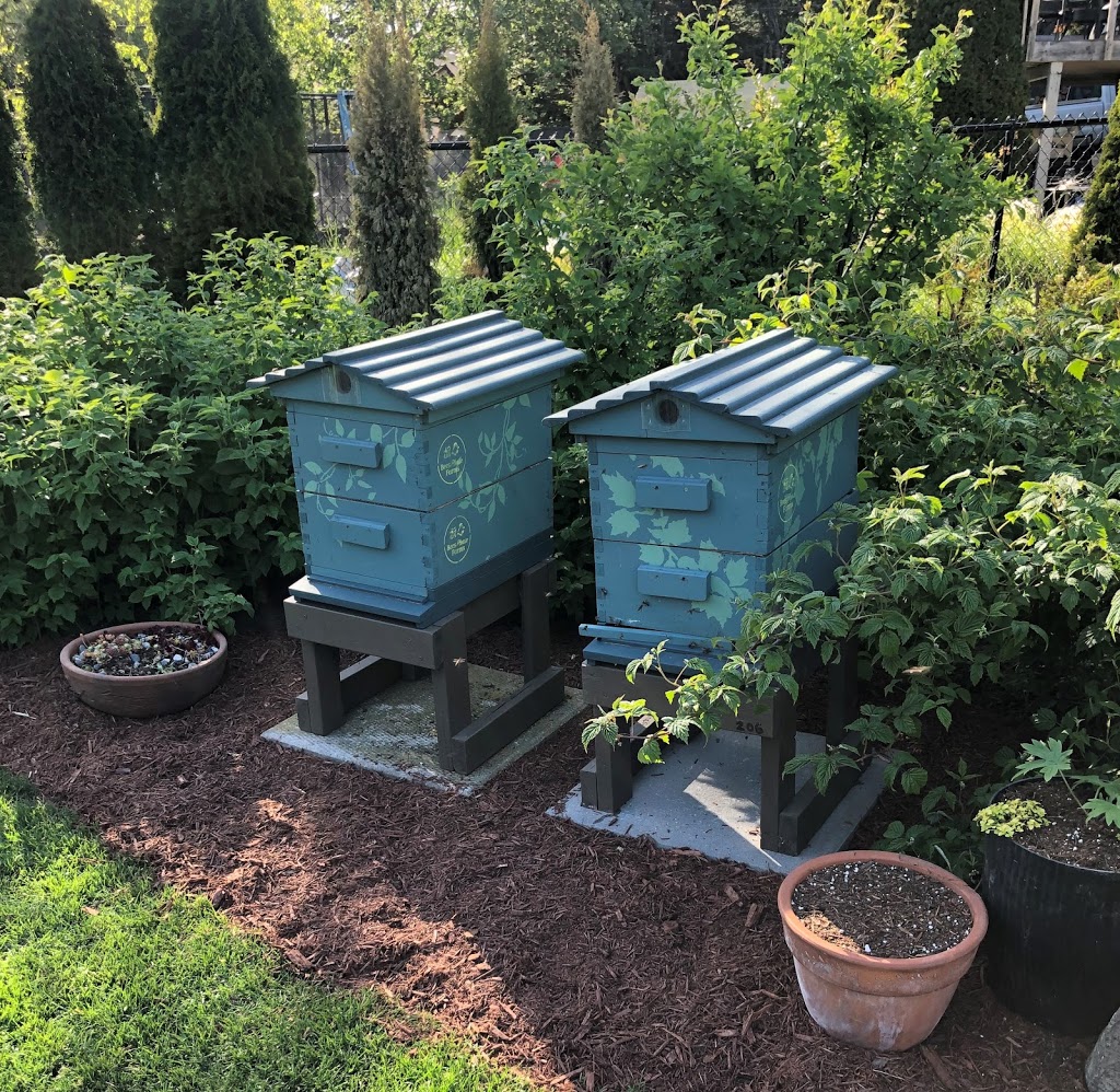 Bees Please Farms | 4061 Happy Valley Rd, Victoria, BC V9C 3X8, Canada | Phone: (250) 514-1157