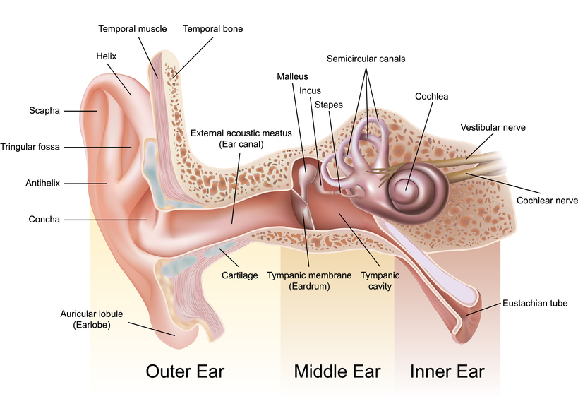 StopFalls Clinic | 1100 Sheppard Ave E #102, North York, ON M2K 2W1, Canada | Phone: (647) 345-2444