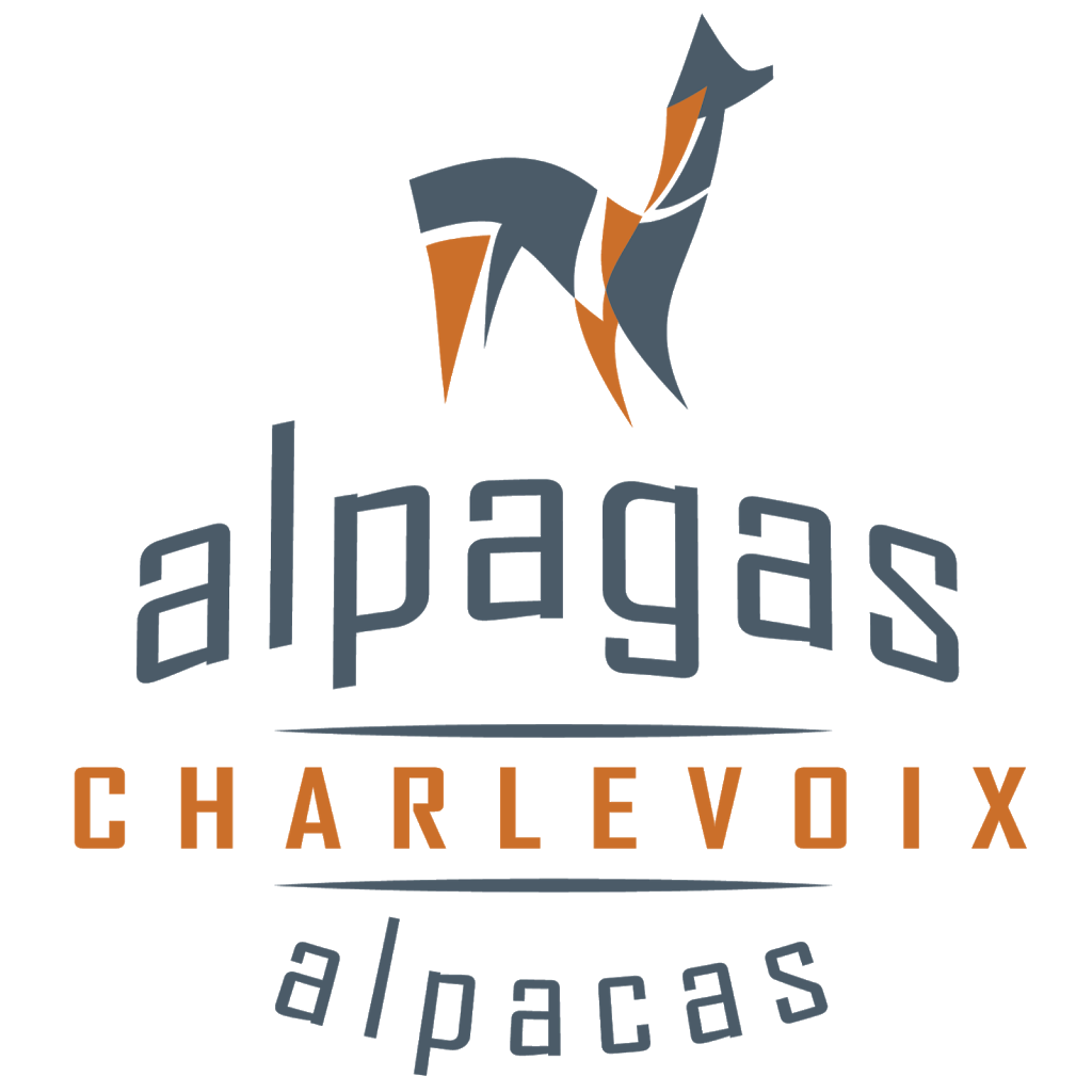 Boutique Alpagas Charlevoix Québec | 77 Rue du Petit Champlain, Québec, QC G1K 4H5, Canada | Phone: (418) 692-0416