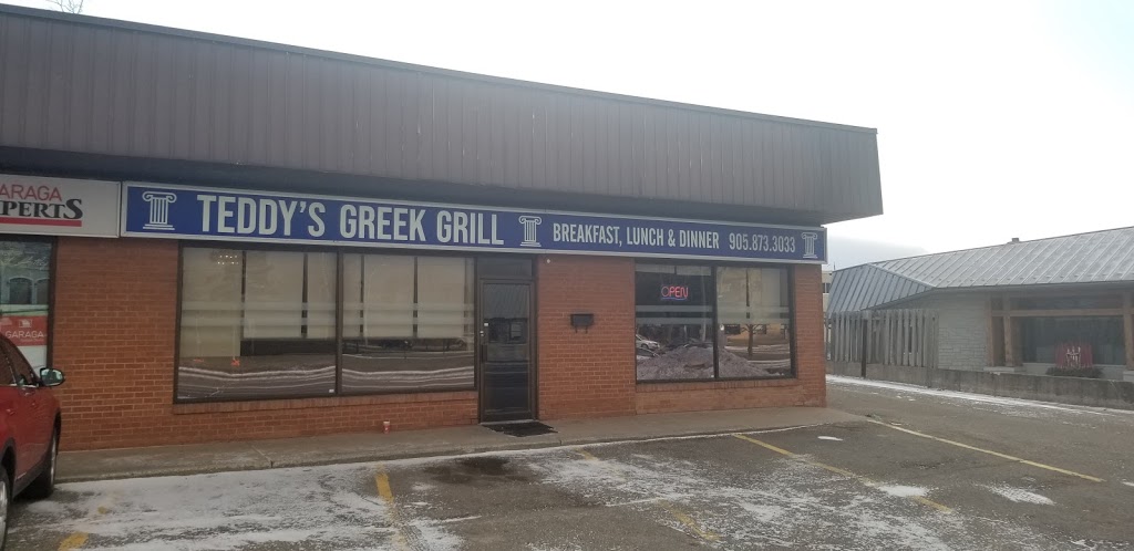 Teddys Greek Grill | 118 Guelph St, Georgetown, ON L7G 4A3, Canada | Phone: (905) 873-3033