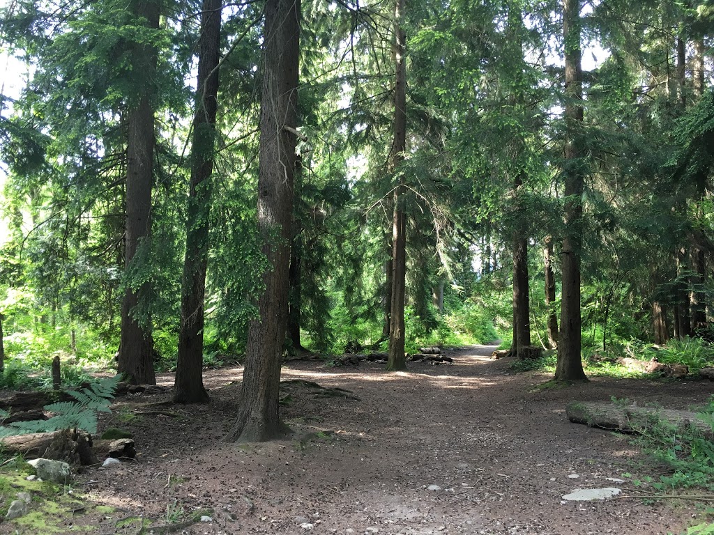 Westhill Off-Leash Park | 203 Westhill Pl, Port Moody, BC V3H 4S4, Canada