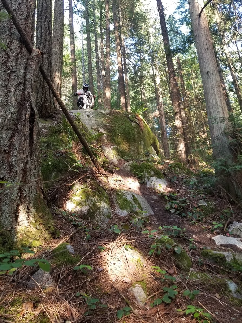 Cypress Provincial Park Picnic Area | West Vancouver, BC V0N 1G0, Canada