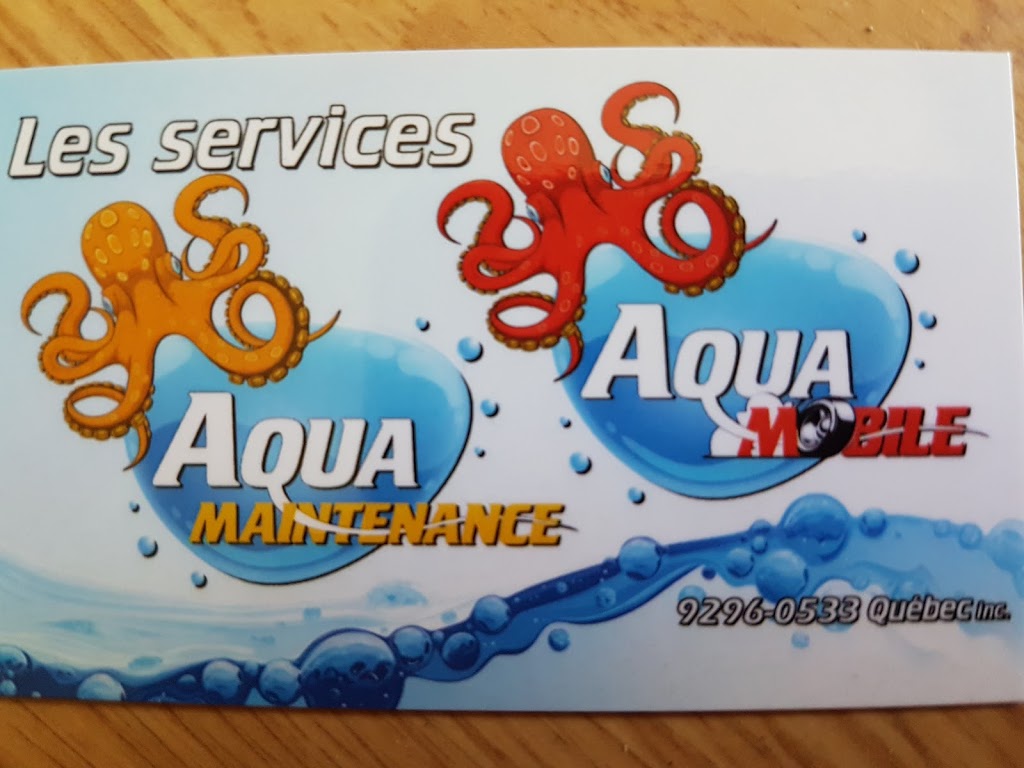 Les Services Aqua Maintenance | 5500 Rue Rodrigue #102, Terrebonne, QC J7M 2C1, Canada | Phone: (450) 968-1717