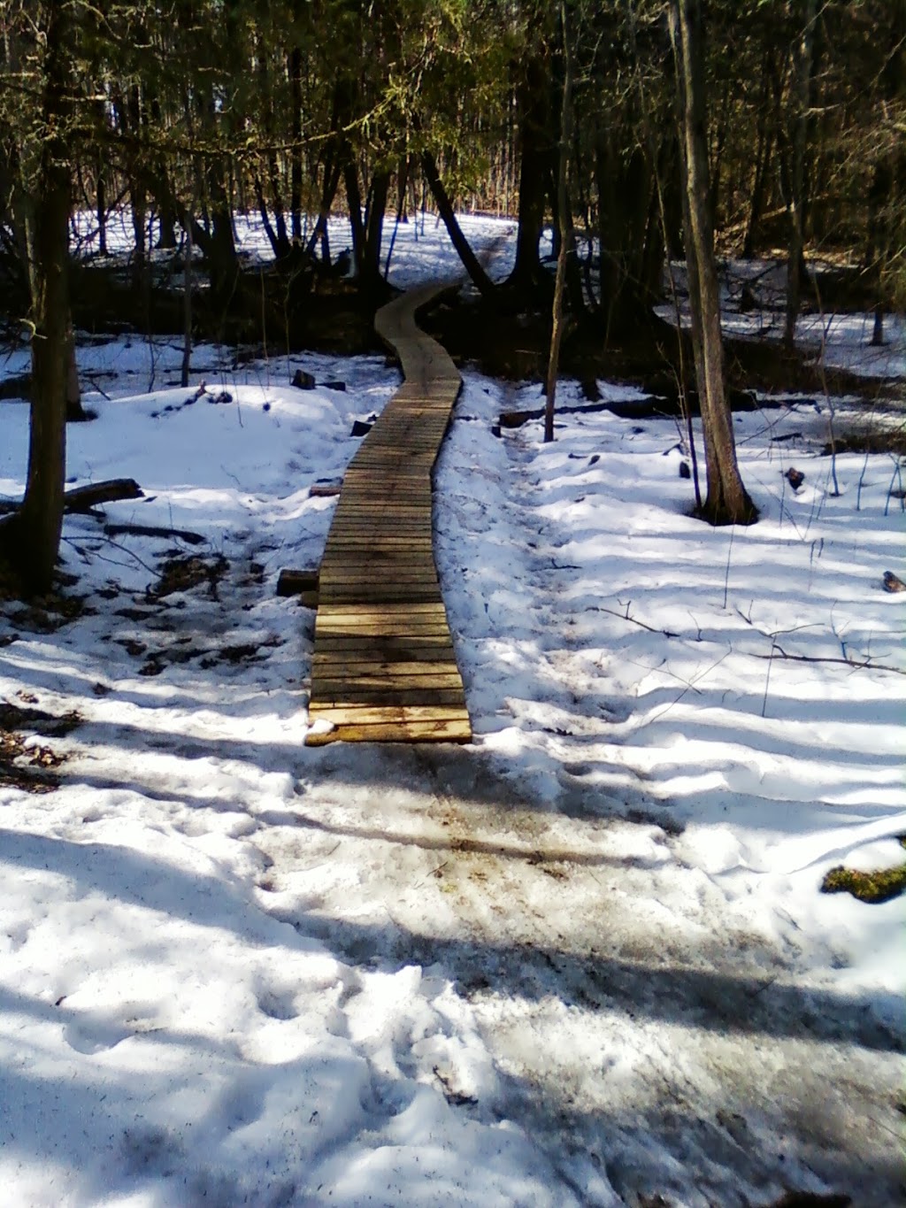 Ravenshoe Trailhead | McCowan Rd, East Gwillimbury, ON L0E, Canada