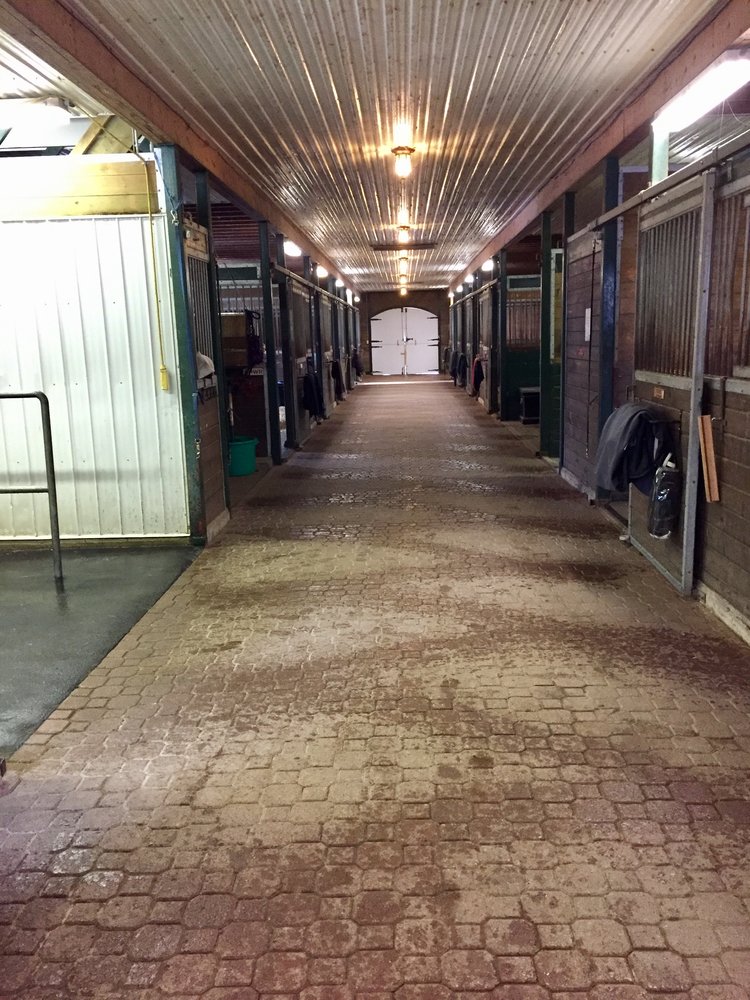 Hunterlane Stables | 2137 Shantz Station Rd, Breslau, ON N0B 1M0, Canada | Phone: (519) 635-9554