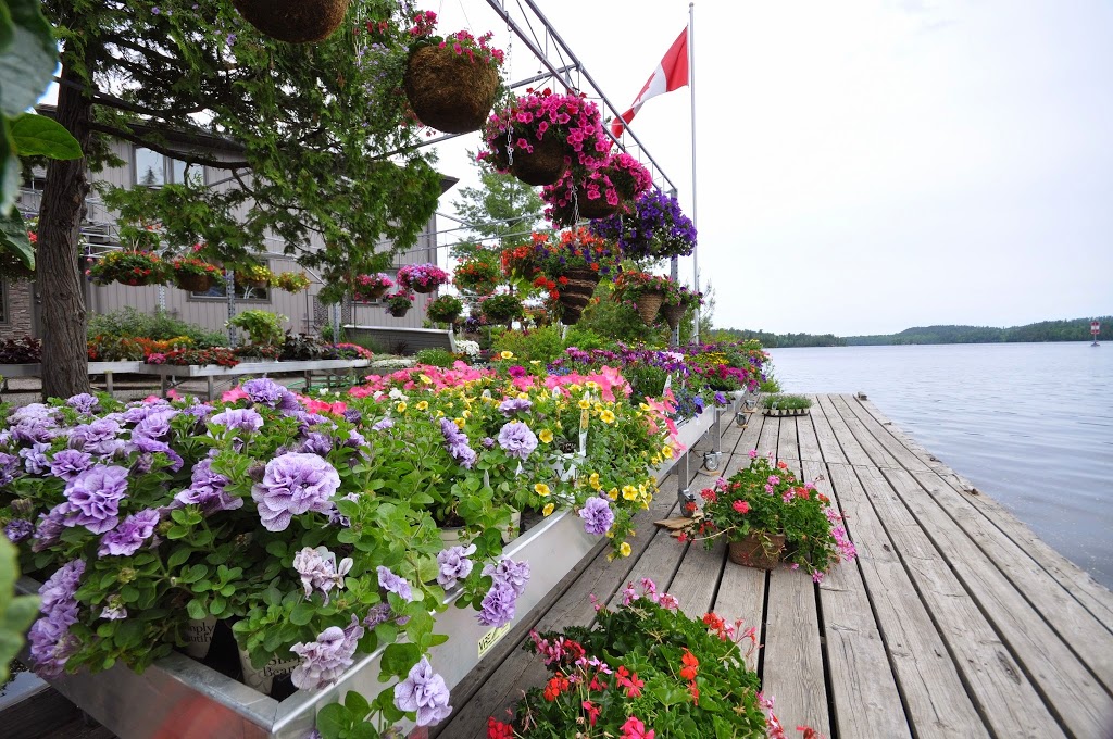 BLOOMS N LOONS | Temagami, ON P0H 2H0, Canada | Phone: (705) 237-8777