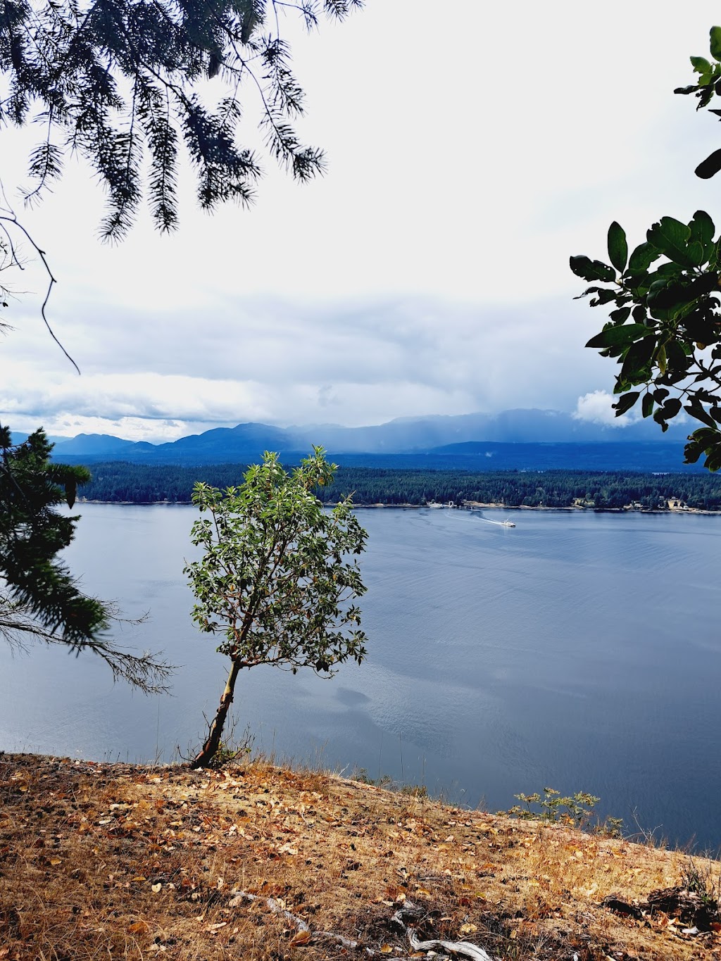 Mount Geoffrey Escarpment Provincial Park | Hwy 19, Hornby Island, BC V0R 1Z0, Canada | Phone: (800) 689-9025