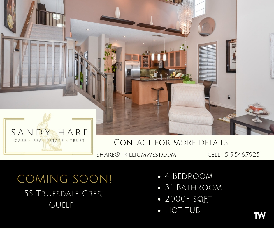 Sandy Hare -Real Estate Sales Representative | 292 Stone Rd W, Guelph, ON N1G 3C4, Canada | Phone: (519) 546-7925