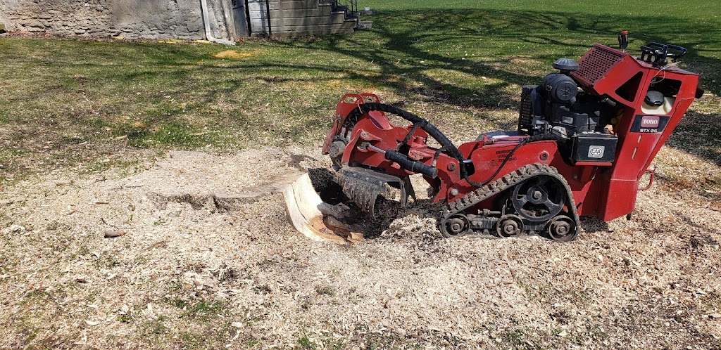 Woodchuck Stump Grinding | 111 King St E, Hagersville, ON N0A 1H0, Canada | Phone: (905) 531-0586