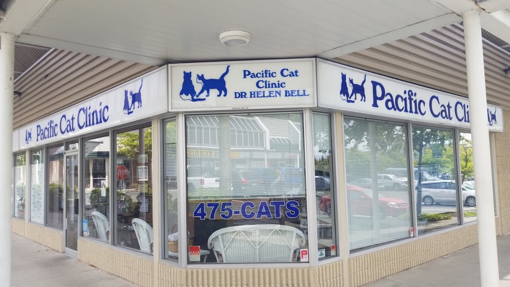 Pacific Cat Clinic | 3555 Ravine Way, Victoria, BC V8X 4Z1, Canada | Phone: (250) 475-2287