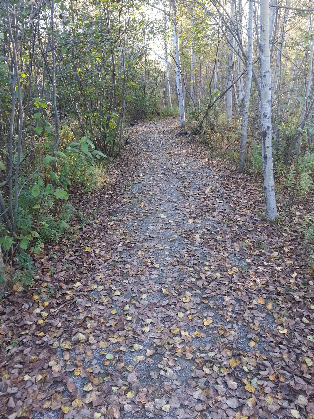 Jean Tellier Trail | Sudbury, ON P0M 1M0, Canada | Phone: (705) 674-4455 ext. 4603