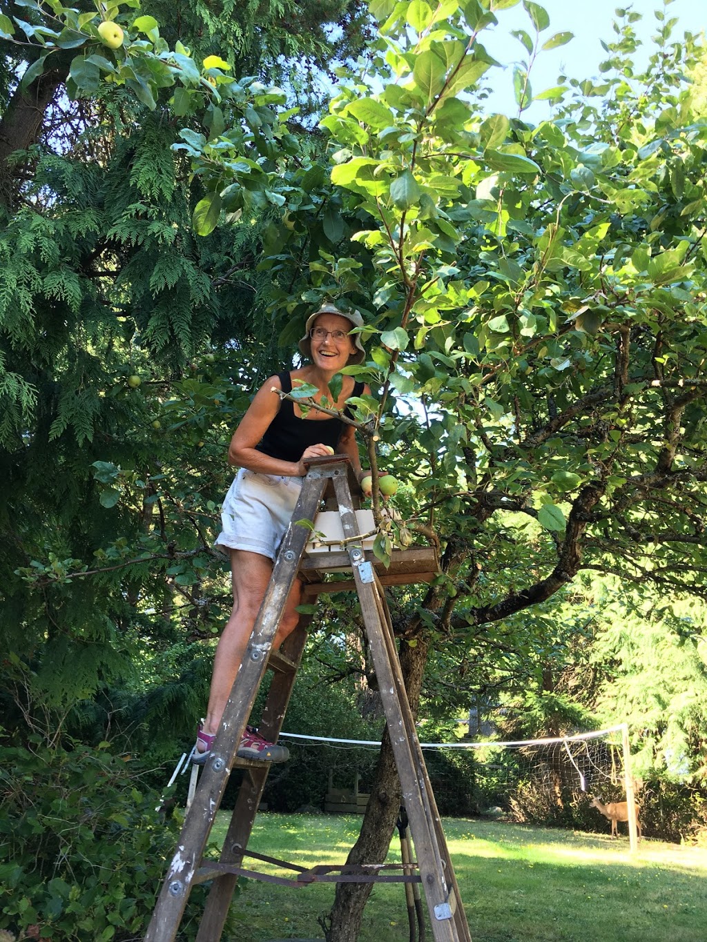 Alison Vardy - Harpist | 2235 Hummingbird Dr, Nanaimo, BC V9X 1G6, Canada | Phone: (250) 722-2912