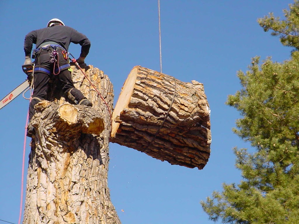 Westisland Tree Service | Old Châteauguay Rd, Kahnawake, QC J0L 1B0, Canada | Phone: (514) 631-6162