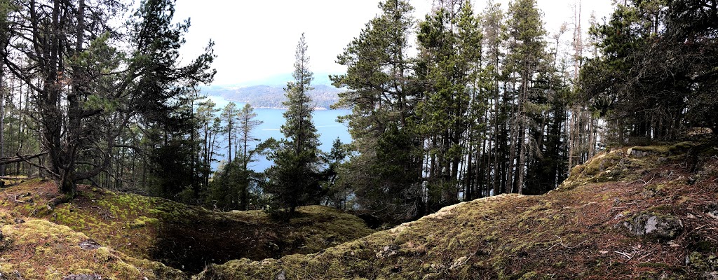 Mossy Outcrop | Bowen Island, BC V0N 1G2, Canada