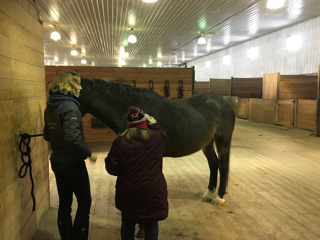 West Wind Stables | Box 402, 53086 Rd 4 E, Oak Bluff, MB R0G 1N0, Canada | Phone: (204) 736-3410