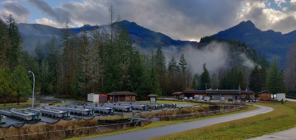 Chilliwack River Hatchery | 55205 Chilliwack Lake Rd, Chilliwack, BC V4Z 1A7, Canada | Phone: (604) 858-7227