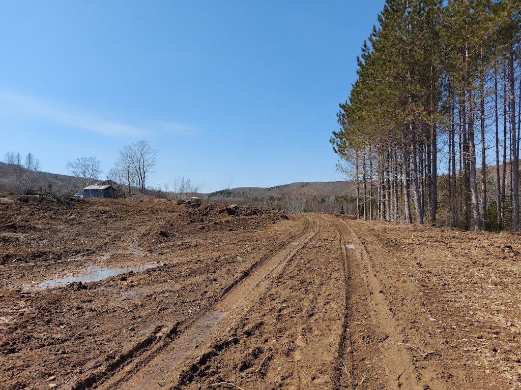 MacLeod Mtn Mudding | 519 Barneys River, Westside Road, Kenzieville, NS B0K 1A0, Canada | Phone: (902) 753-6388