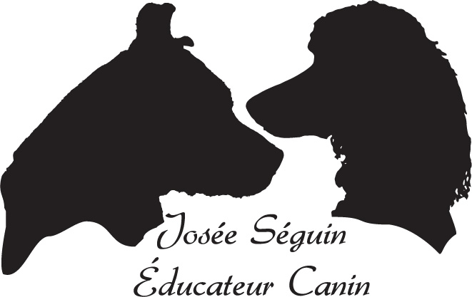 Josée Séguin Éducateur Canin | 625 Côte de Terrebonne, Terrebonne, QC J6Y 1G4, Canada | Phone: (514) 575-8981