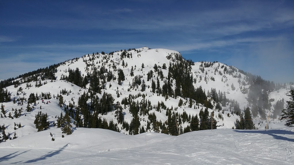 Mount Seymour Provincial Park | Mt Seymour Rd, North Vancouver, BC V7G 1L3, Canada | Phone: (604) 986-9371