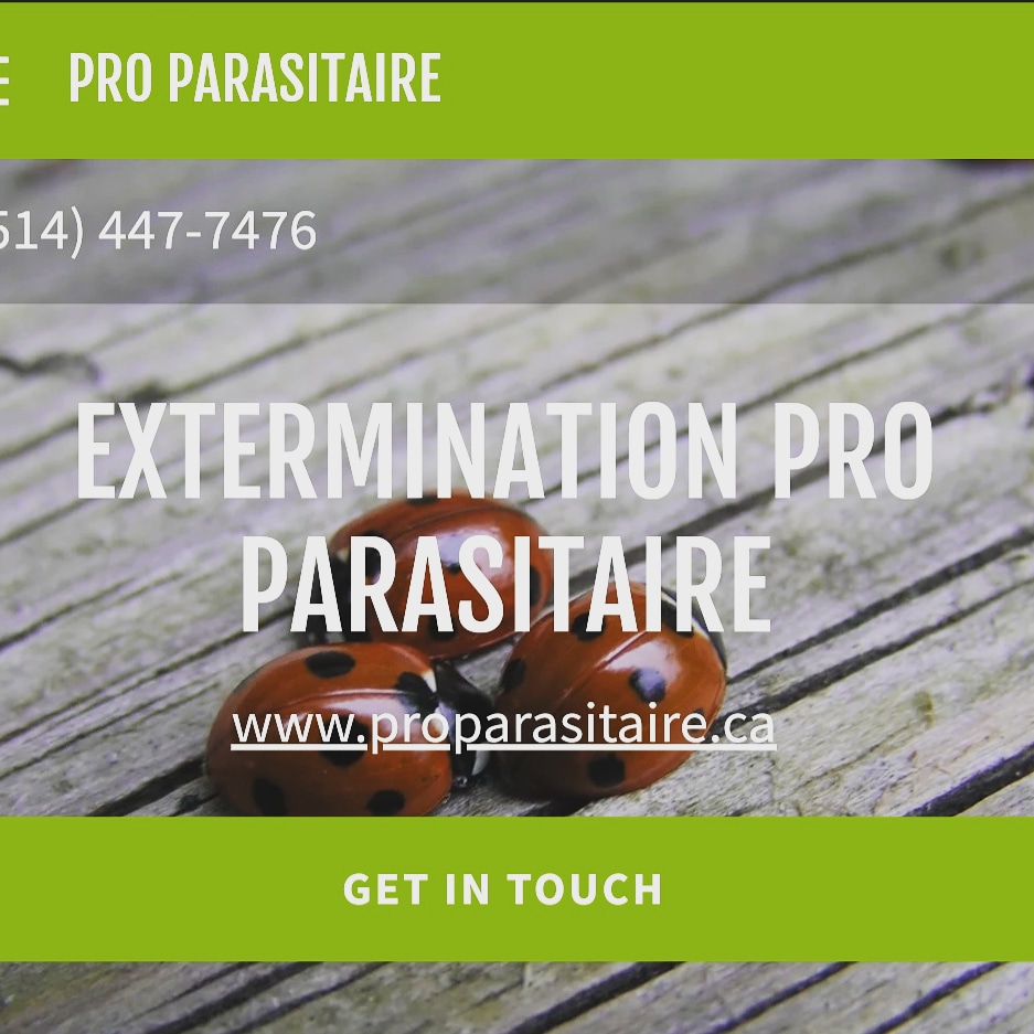 Extermination Pro Parasitaire | 5b Rue du Centre Commercial, Roxboro, QC H8Y 2N9, Canada | Phone: (514) 447-7476